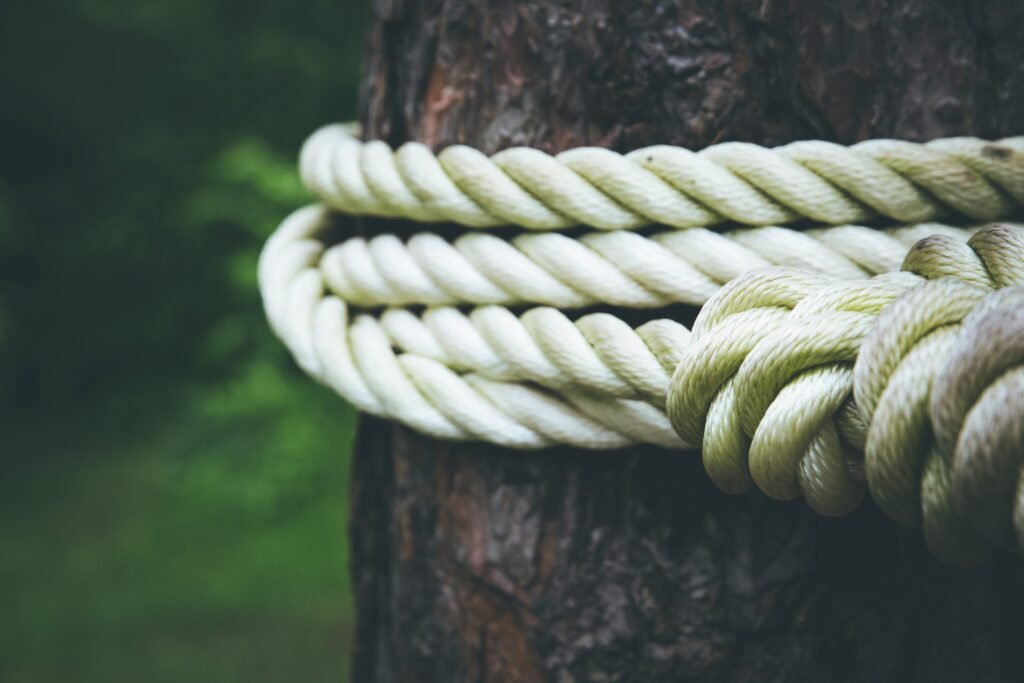 Rope around a tree showing it's 'fixed' like fixed ISA rates